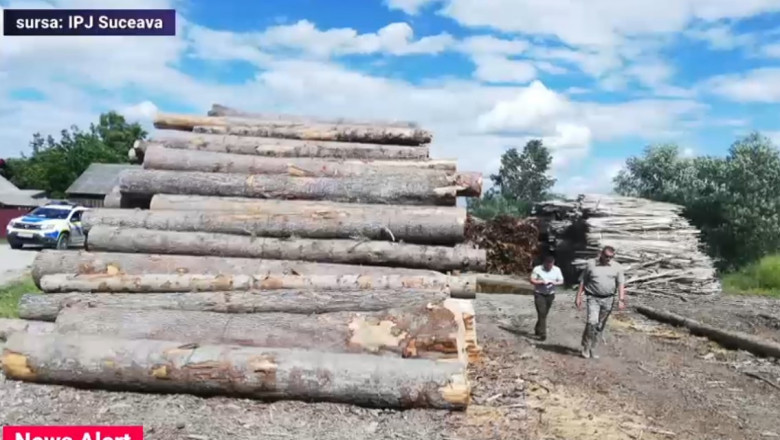 Cantitate impresionantă de lemn confiscată de polițiștii din Suceava