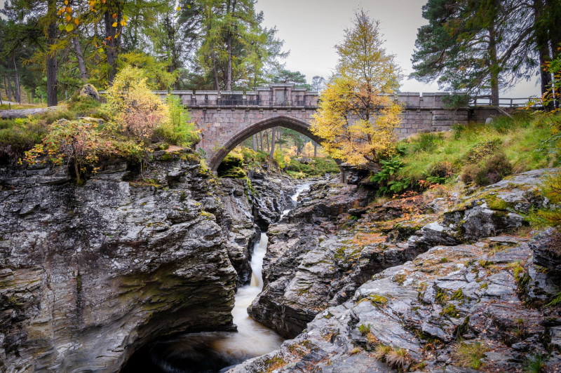 Cairngorms, Scoția