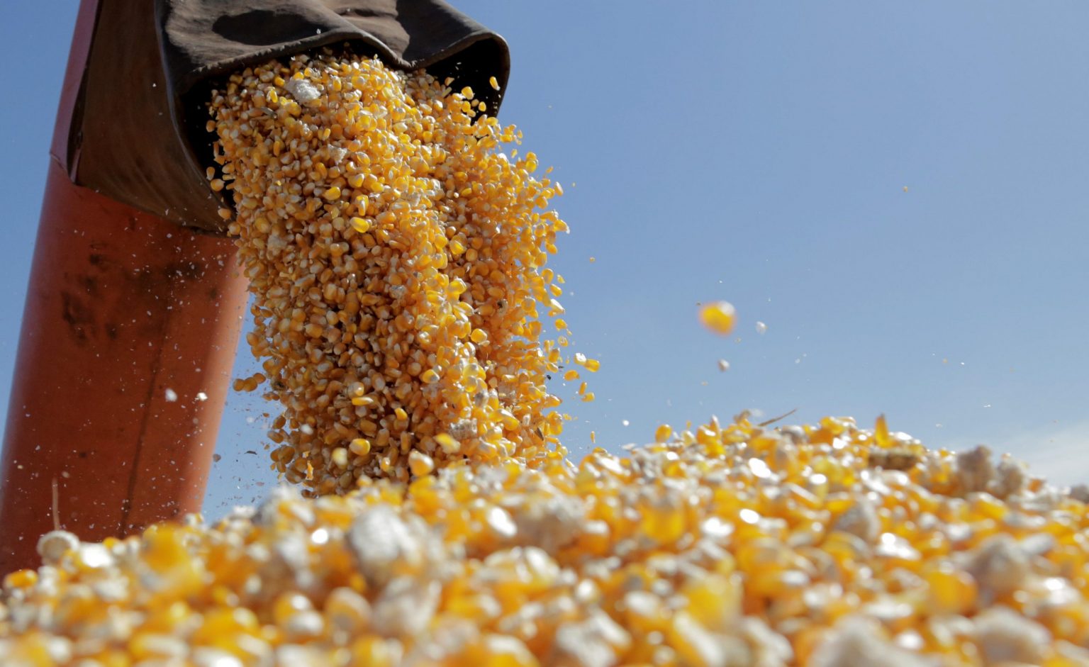 UE, acord interimar pentru prelungirea importurilor agricole ucrainene fără taxe vamale, până în iunie 2025. Ce produse sunt pe listă