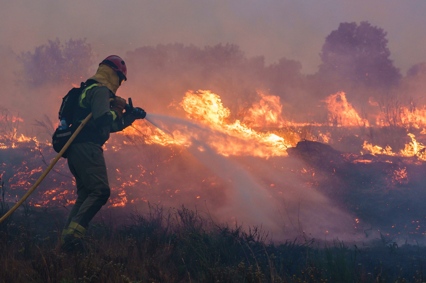Temperaturi de 47 °C în Portugalia. Mii de oameni au fost evacuați din calea incendiilor de vegetație în Franța, Spania și Grecia