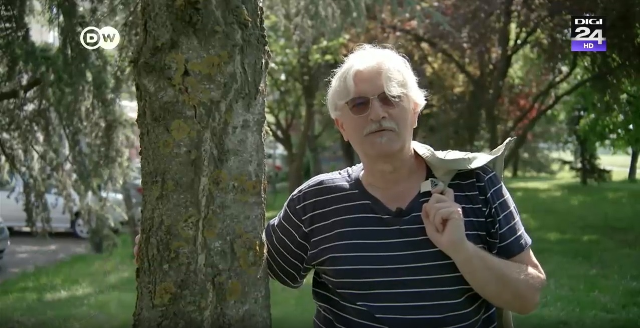 De 30 de ani, un bărbat încalcă legea plantând copaci