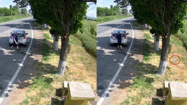Șoferi filmați în timp ce aruncau gunoi pe marginea drumurilor din județul Bihor.
