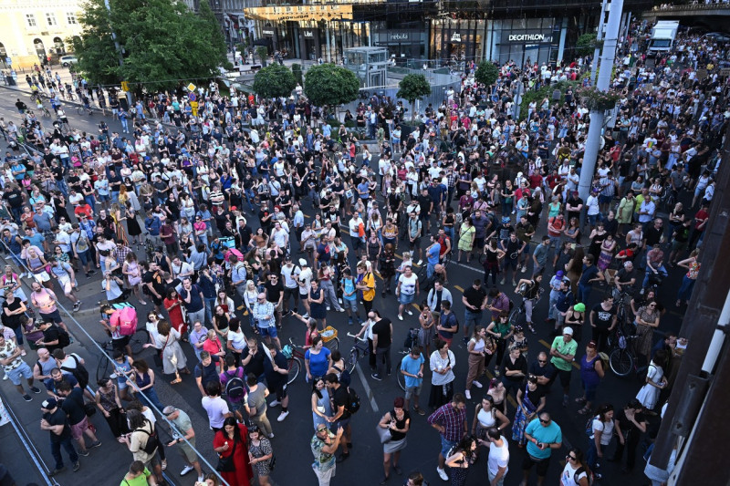 budapesta protest taxe profimedia-0707122114