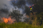 Europa, devastată de incendii în mijlocul unui val de caniculă Foto Profimedia Images (6)