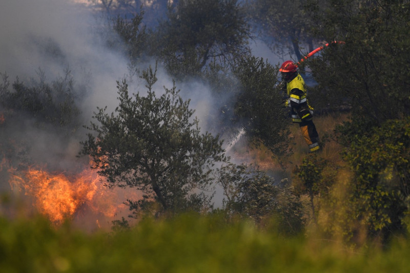 Europa, devastată de incendii în mijlocul unui val de caniculă Foto Profimedia Images (6)