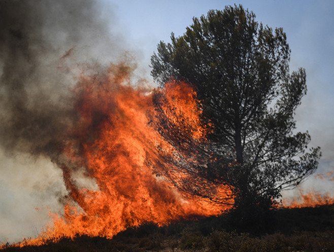 Europa, devastată de incendii în mijlocul unui val de caniculă Foto Profimedia Images (10)