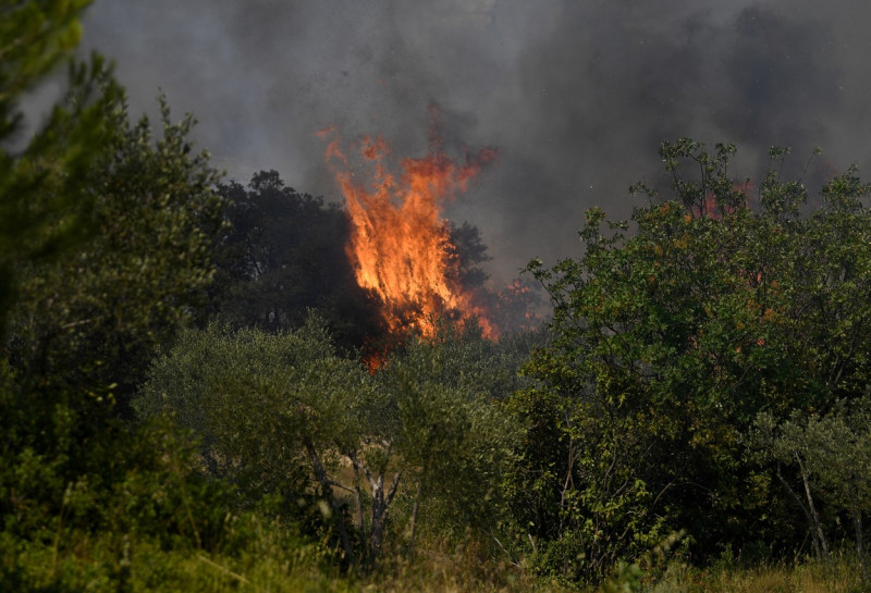 Europa, devastată de incendii în mijlocul unui val de caniculă Foto Profimedia Images (7)