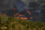 Europa, devastată de incendii în mijlocul unui val de caniculă Foto Profimedia Images (8)