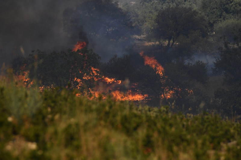 Europa, devastată de incendii în mijlocul unui val de caniculă Foto Profimedia Images (8)