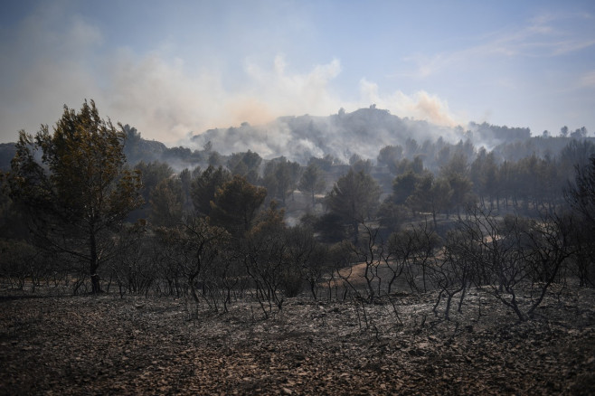 Europa, devastată de incendii în mijlocul unui val de caniculă Foto Profimedia Images (9)