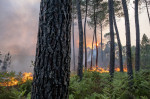 Europa, devastată de incendii în mijlocul unui val de caniculă Foto Profimedia Images (14)