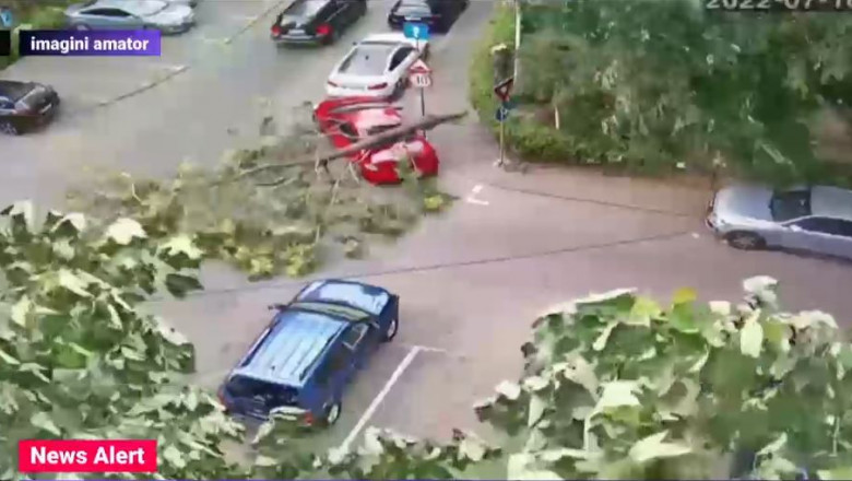 Copac prăbușit peste o mașină în timpul furtunii din Capitală. Foto