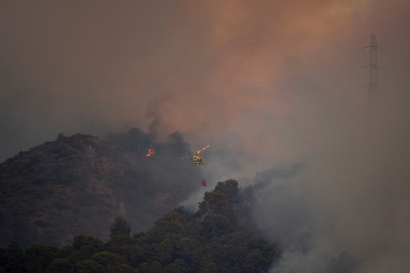 Europa, devastată de incendii în mijlocul unui val de caniculă Foto Profimedia Images (17)