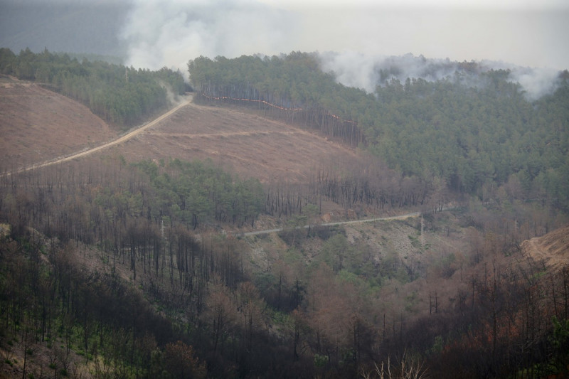 Wildfires Rage - Spain