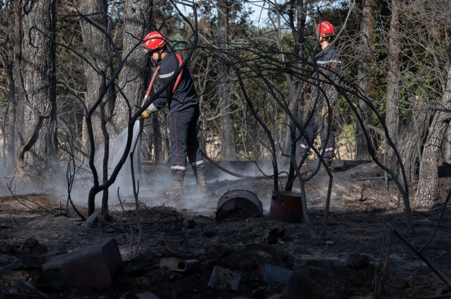 Europa, devastată de incendii în mijlocul unui val de caniculă Foto Profimedia Images (26)