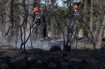 Europa, devastată de incendii în mijlocul unui val de caniculă Foto Profimedia Images (26)
