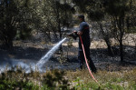 Europa, devastată de incendii în mijlocul unui val de caniculă Foto Profimedia Images (1)