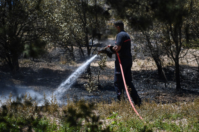 Europa, devastată de incendii în mijlocul unui val de caniculă Foto Profimedia Images (1)