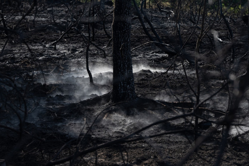 Europa, devastată de incendii în mijlocul unui val de caniculă Foto Profimedia Images (27)