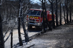 Europa, devastată de incendii în mijlocul unui val de caniculă Foto Profimedia Images (2)