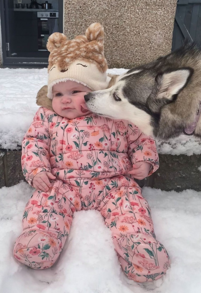 DOG AND BABY BESTFRIENDS