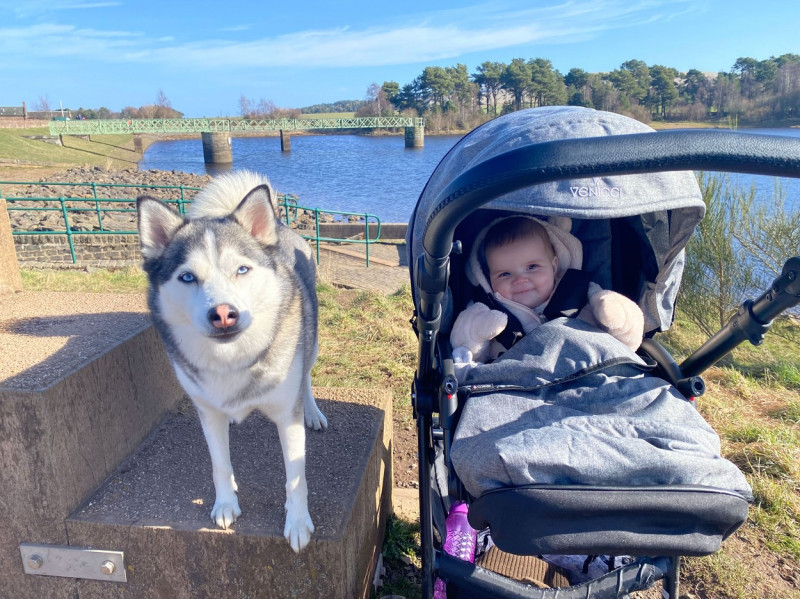 DOG AND BABY BESTFRIENDS