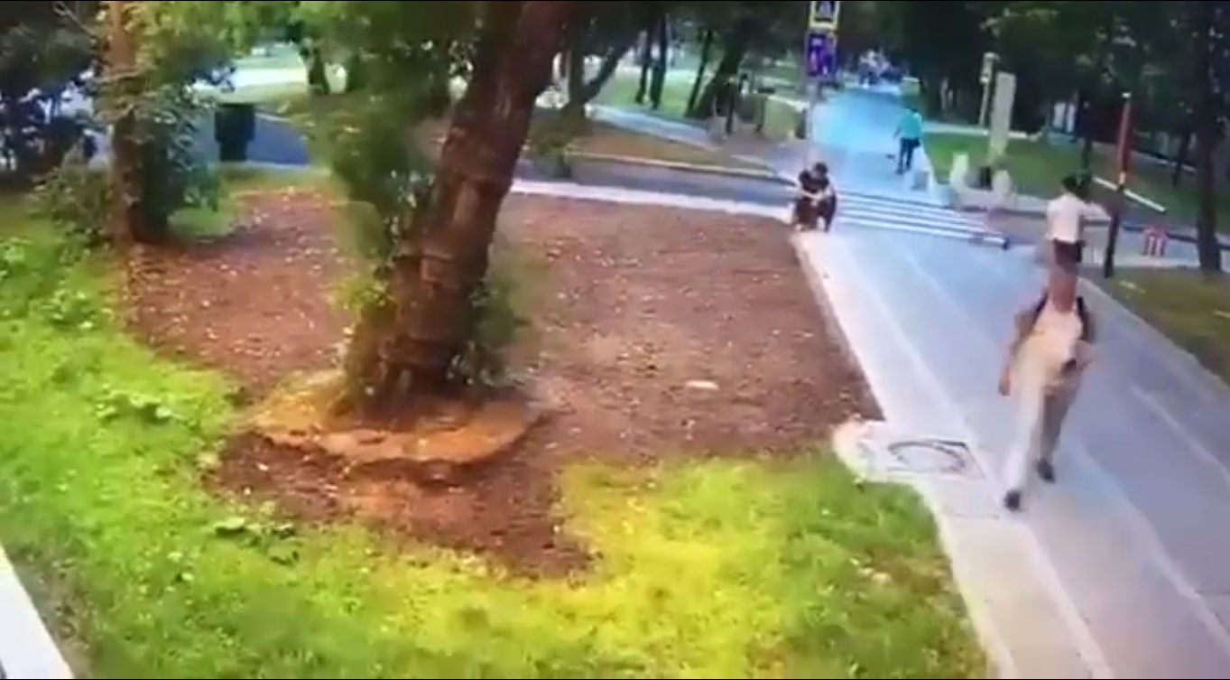 Un bărbat a murit la Moscova, după ce un copac a căzut peste el, pe Bulevardul Ucrainei