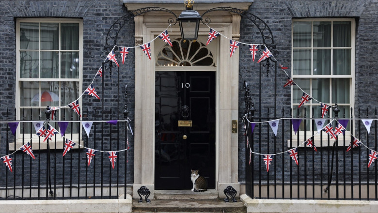 Larry the cat sits on the steps outside of 10 Downing Street, the official residence of Britain's Prime Minister