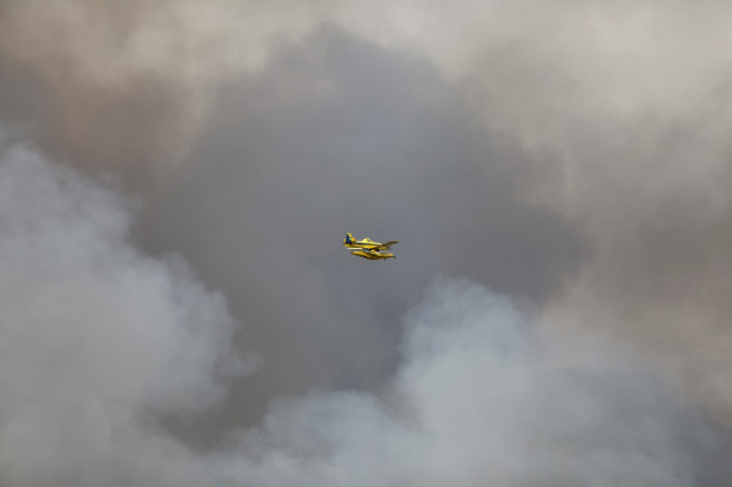 Portugal Forest Fires