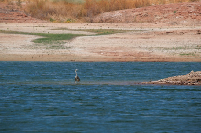Lake Mead Drought, Lake Mead, Nv, United States - 29 Jun 2021