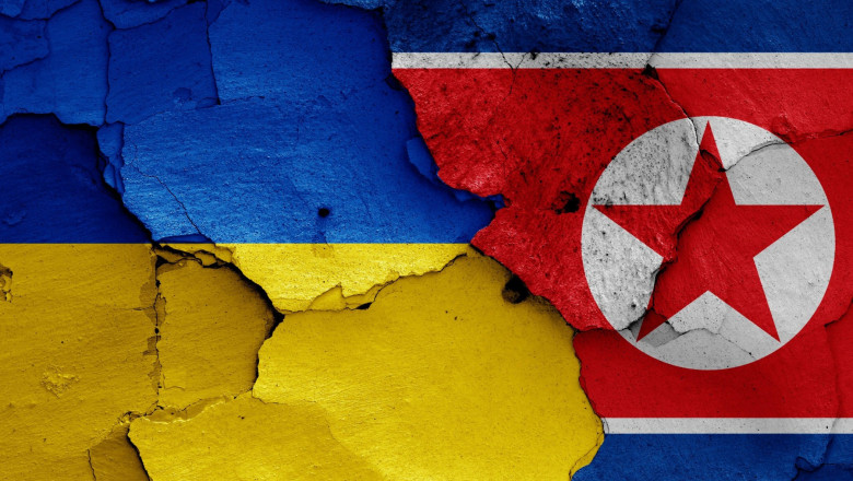 flags of Ukraine and North Korea painted on cracked wall