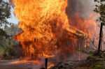 incendii california yosemite profimedia-0709399350