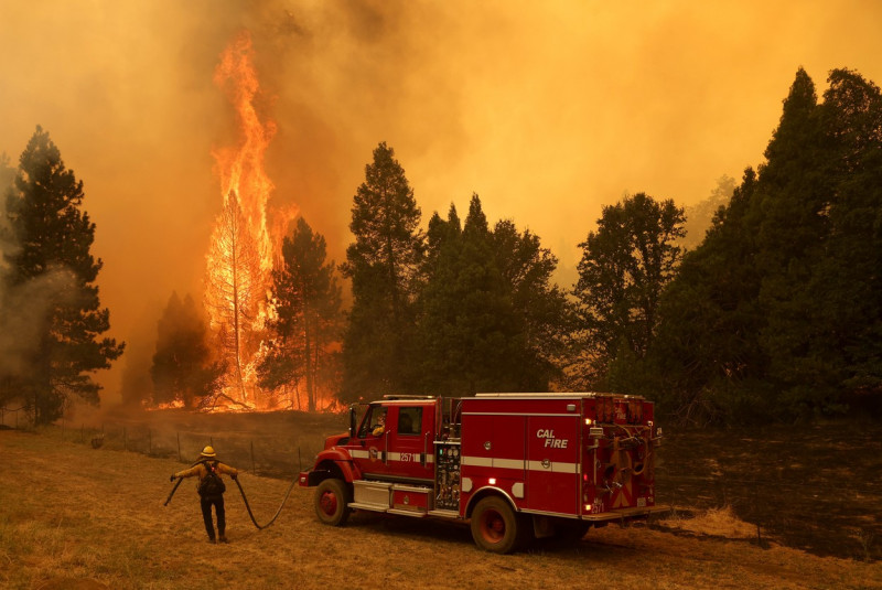 incendii california yosemite profimedia-0709402650
