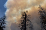 incendii california yosemite profimedia-0709389552