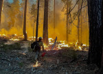 incendii california profimedia-0706650448
