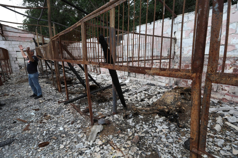 Ukraine Crisis / Hostomel