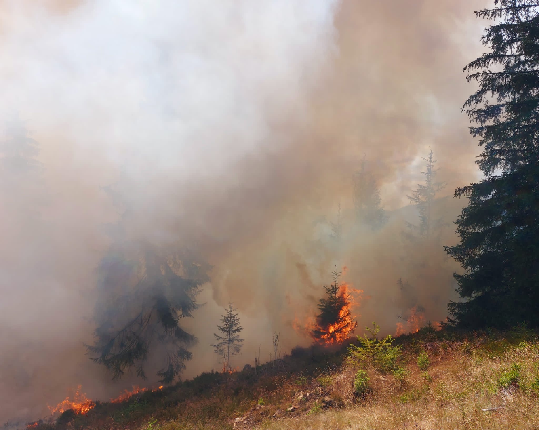 Ministrul Mediului: Pericolul de incendii este uriaș. Încă sunt cetățeni care nu înțeleg asta