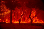 Wildfires in Greece 2022