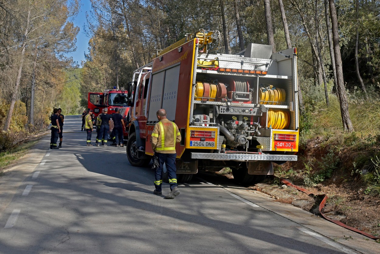 Un german a fost arestat în Mallorca pentru provocarea unor incendii de vegetaţie. A făcut focul în mai multe locuri de pe insulă