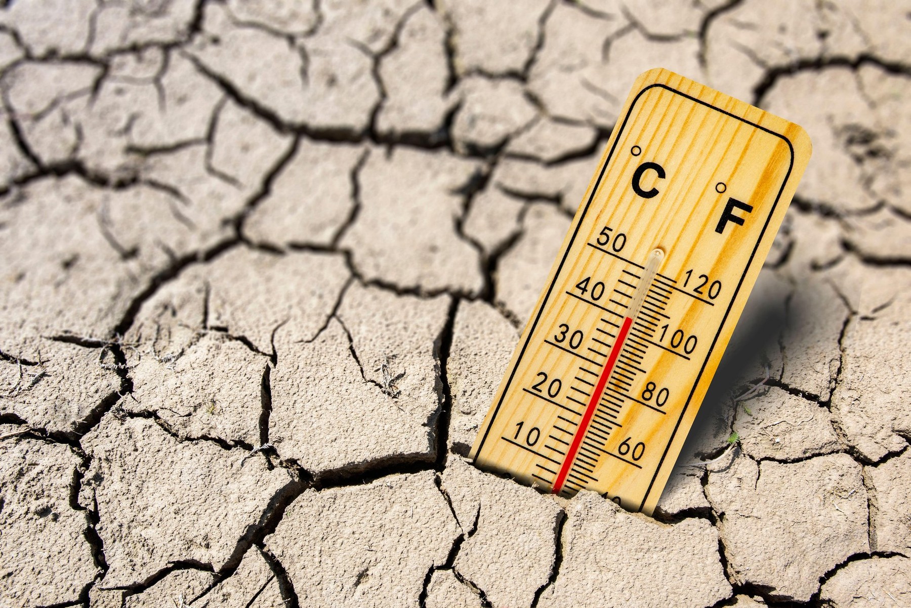 Consilierul pentru climă al președintelui Iohannis, despre pragul critic al temperaturii globale: „Efectele vor fi ireversibile”