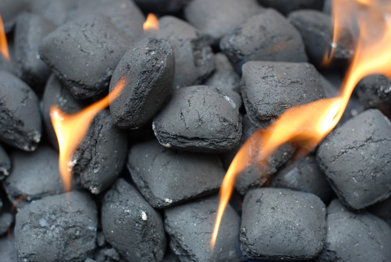 Din cauza economiilor la gaz, consumul mondial de cărbune se va apropia de maximul istoric în acest an (raport IEA)