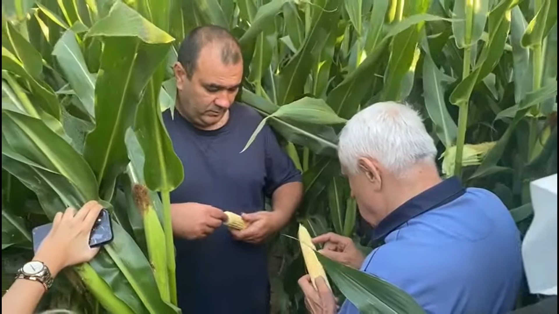 Daea explică ce face în lanul de porumb: „Când desfaci pănușele și iei ciocălăul în mână, e temperatura așa ridicată că te încălzești"