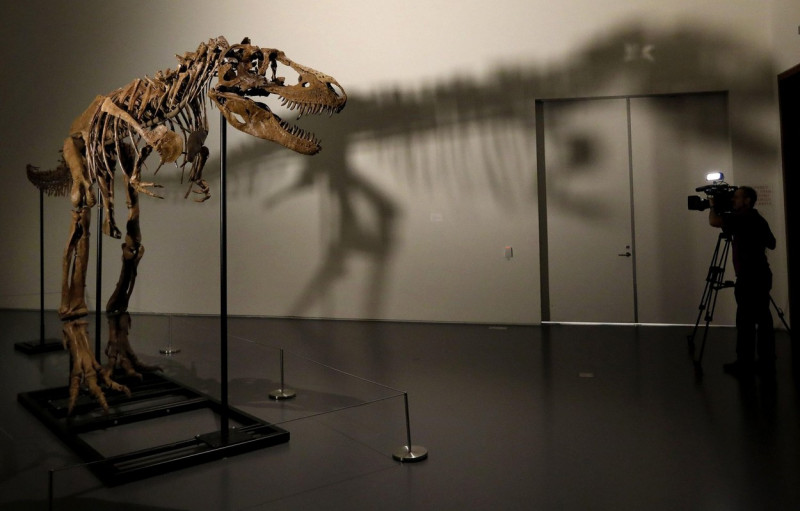 New York, United States. 08th July, 2022. A dinosaur fossil of a Gorgosaurus Skeleton that will be auctioned on July 28 2022, at an estimated price of eight million dollars, is displayed at Sotheby's Auction house in New York City on July 8, 2022. Photo b