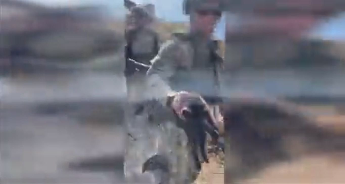 Ucrainenii au curățat Insula Șerpilor de mine și echipament militar rusesc. De pe insulă a fost salvată și o pisică