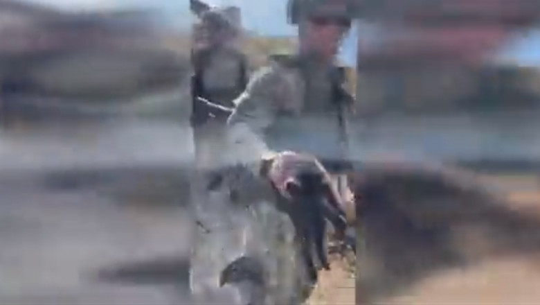 soldat ucrainean pe insula serpilor cu o pisica in mana