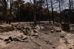 Dune de Pilat Parking destroyed by flames, Gironde, France - 19 Jul 2022