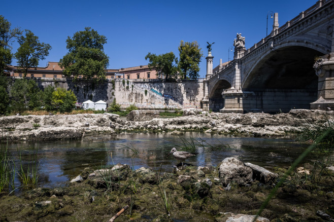 15 July 2022, Italy, Rome: A seabird carries food on the ruins of the Pons Neronianus or Bridge of Nero on the River Tiber. The river Tiber's water levels dropped by a metre compared to this time last year, making it possible to see the remains of the bri