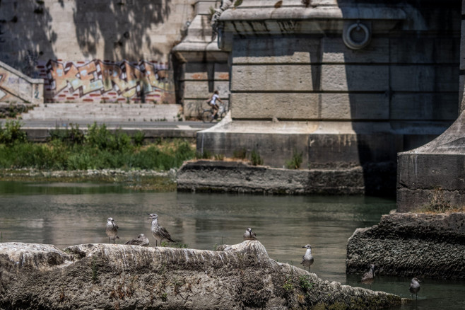 15 July 2022, Italy, Rome: Seabirds sit on the ruins of the Pons Neronianus or Bridge of Nero on the Tiber. The river Tiber's water levels dropped by a metre compared to this time last year, making it possible to see the remains of the bridge built by Rom
