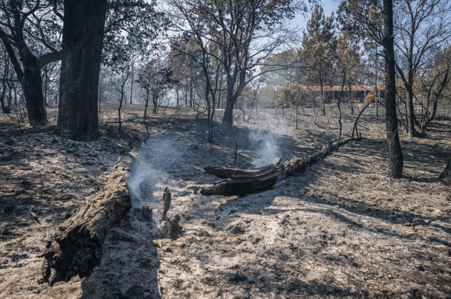 Campsites Destroyed As Wildfires Rage, South West France - 19 Jul 2022