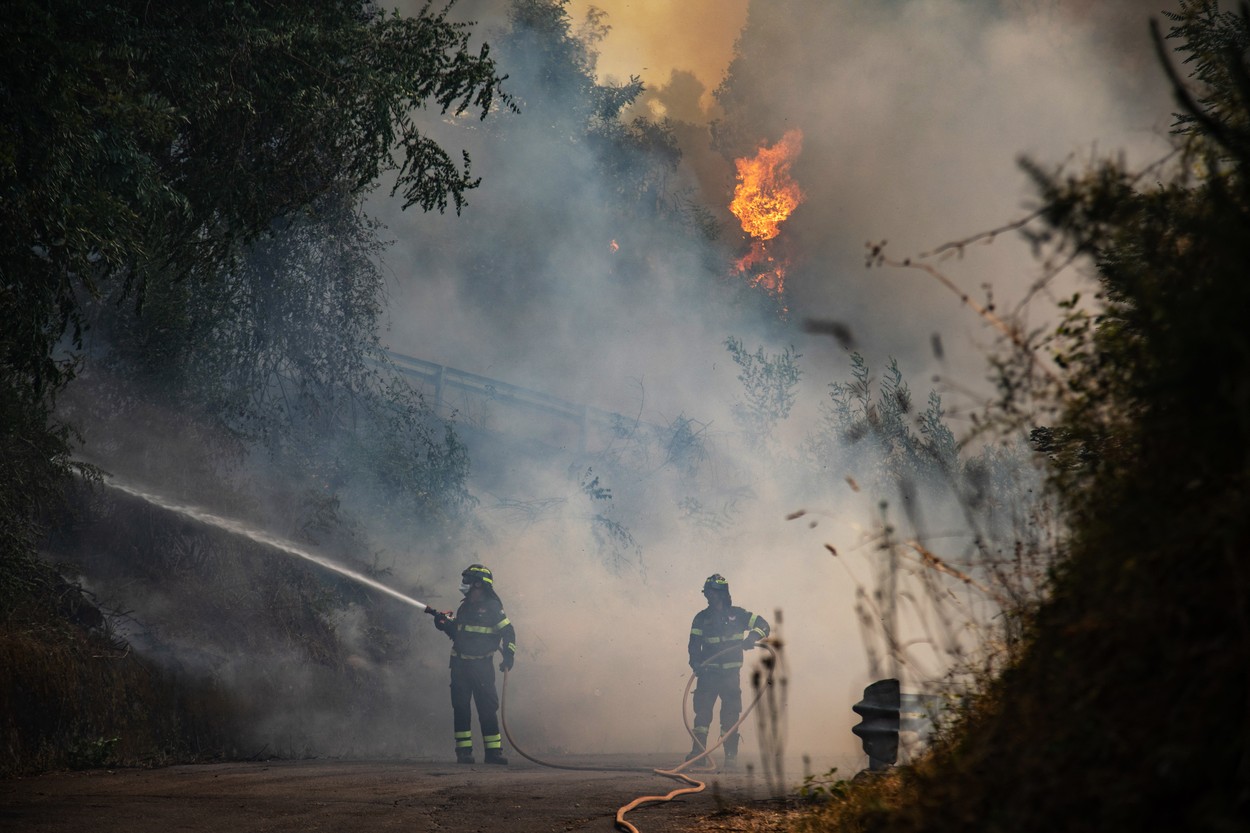 Europa în flăcări. 19 țări sunt în „pericol extrem” de incendii din cauza temperaturilor caniculare
